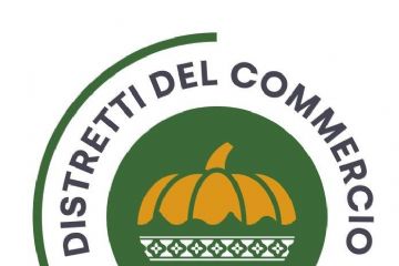 logo distretto urbano del commercio di Brandizzo: zucca con pizzi e onde